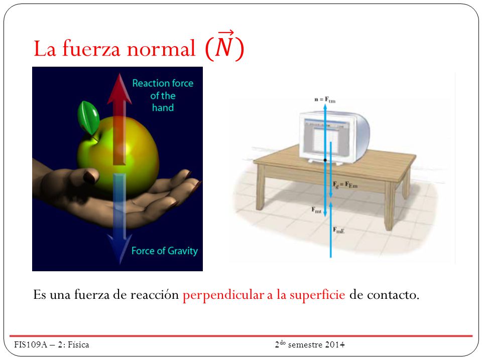 La fuerza normal ( 𝑁 ) Es una fuerza de reacción perpendicular a la superficie de contacto.