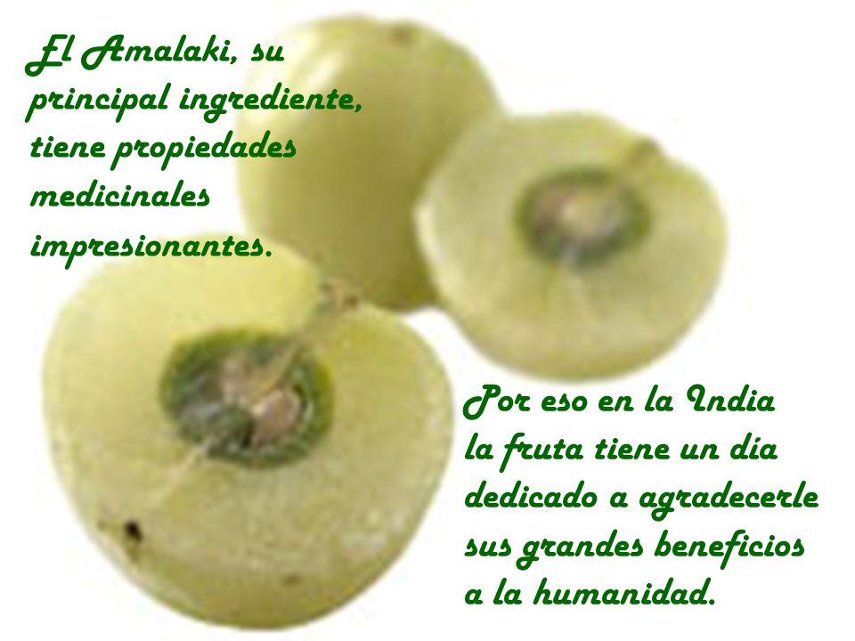 El Amalaki, su principal ingrediente, tiene propiedades. medicinales. impresionantes. Por eso en la India.