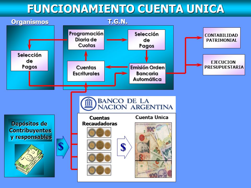 FUNCIONAMIENTO CUENTA UNICA
