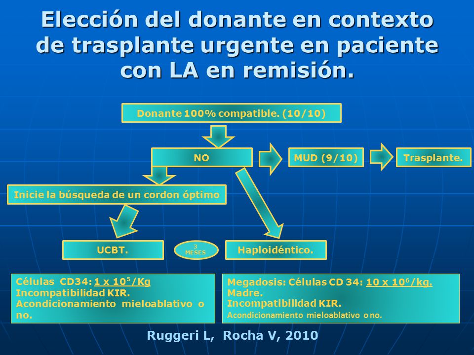 Elección del donante en contexto de trasplante urgente en paciente con LA en remisión.