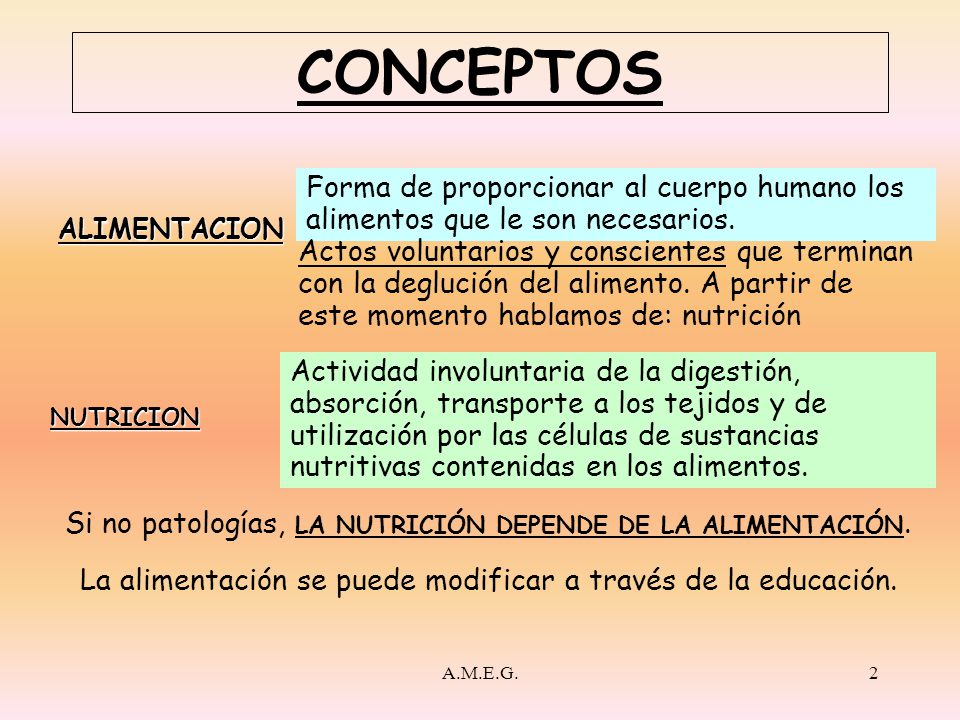 CONCEPTOS Forma de proporcionar al cuerpo humano los alimentos que le son necesarios. ALIMENTACION.
