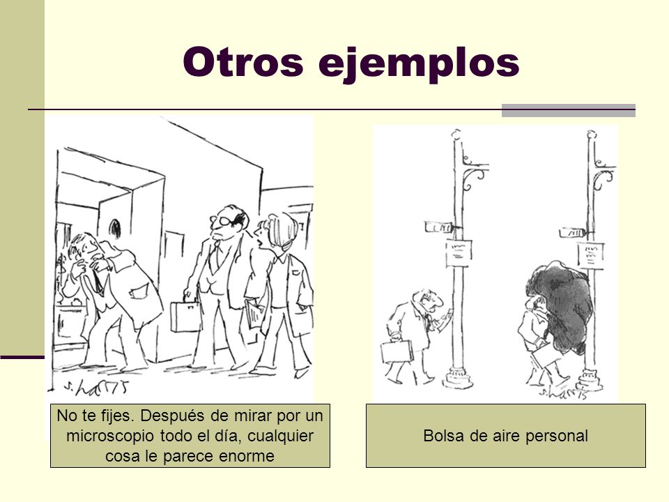 Otros ejemplos No te fijes. Después de mirar por un