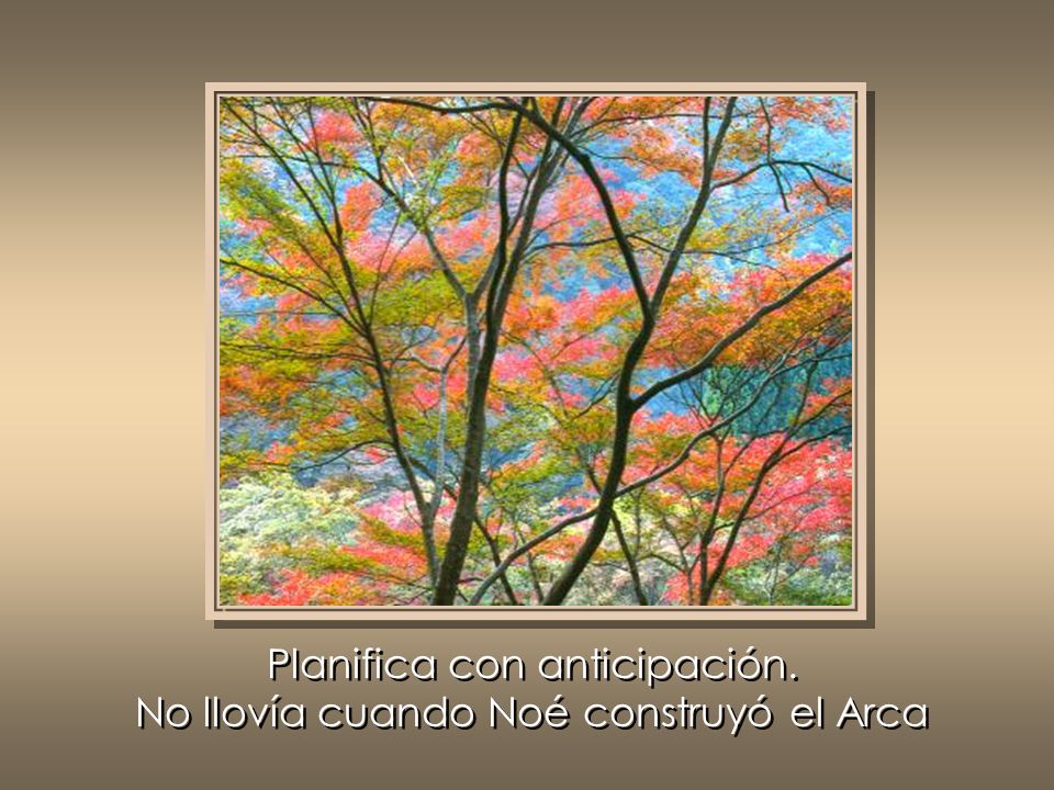 Planifica con anticipación. No llovía cuando Noé construyó el Arca