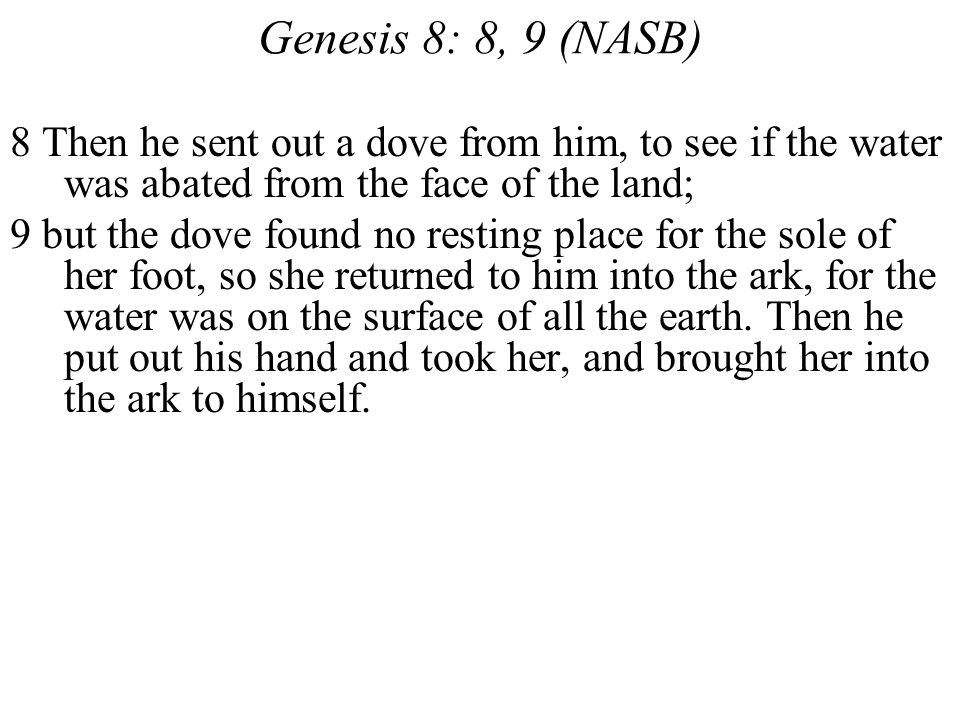 Genesis 8: 8, 9 (NASB) 8 Then he sent out a dove from him, to see if the water was abated from the face of the land;