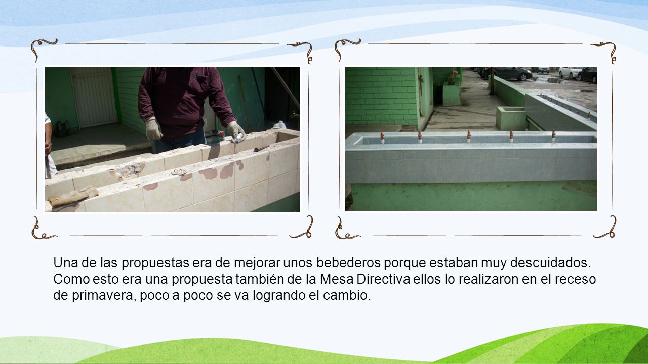 Una de las propuestas era de mejorar unos bebederos porque estaban muy descuidados.