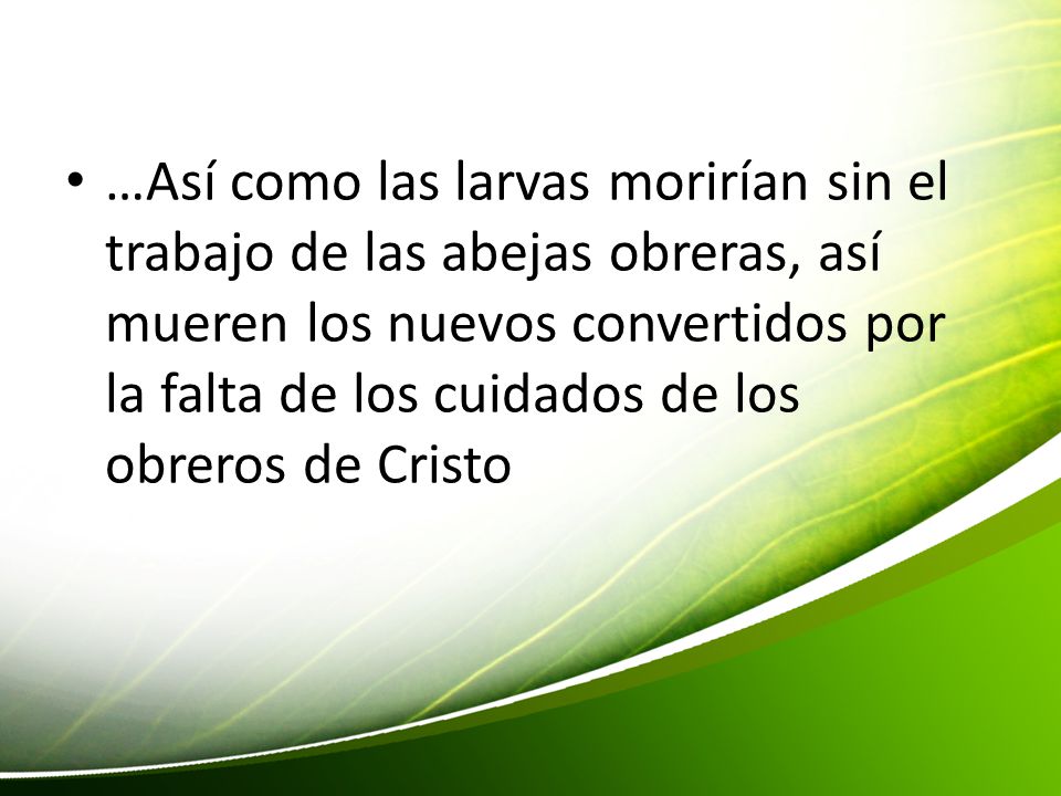 …Así como las larvas morirían sin el trabajo de las abejas obreras, así mueren los nuevos convertidos por la falta de los cuidados de los obreros de Cristo