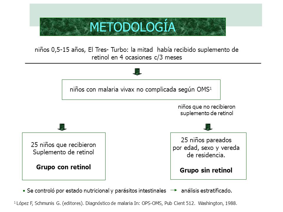 METODOLOGÍA _______________________________________________________