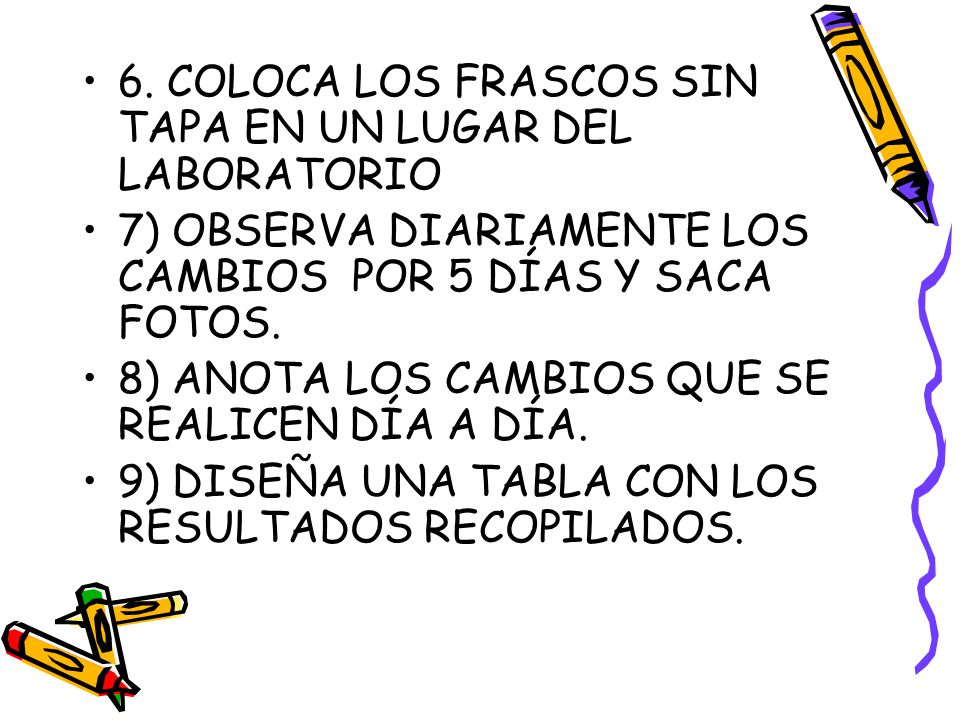 6. COLOCA LOS FRASCOS SIN TAPA EN UN LUGAR DEL LABORATORIO