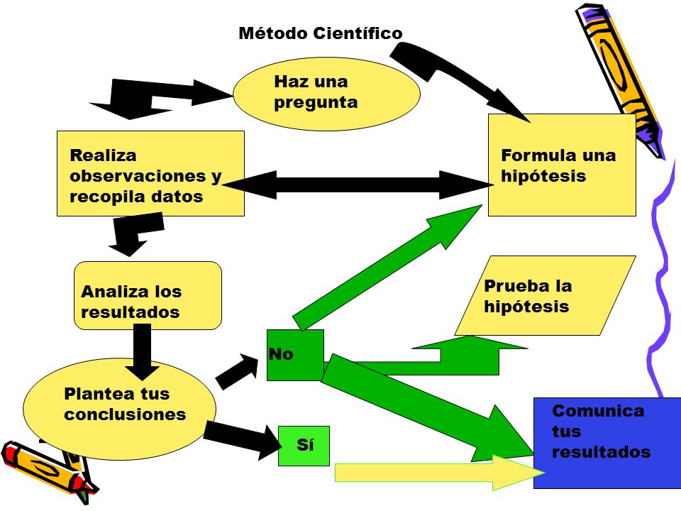 Método Científico Haz una pregunta. Realiza observaciones y recopila datos. Formula una hipótesis.