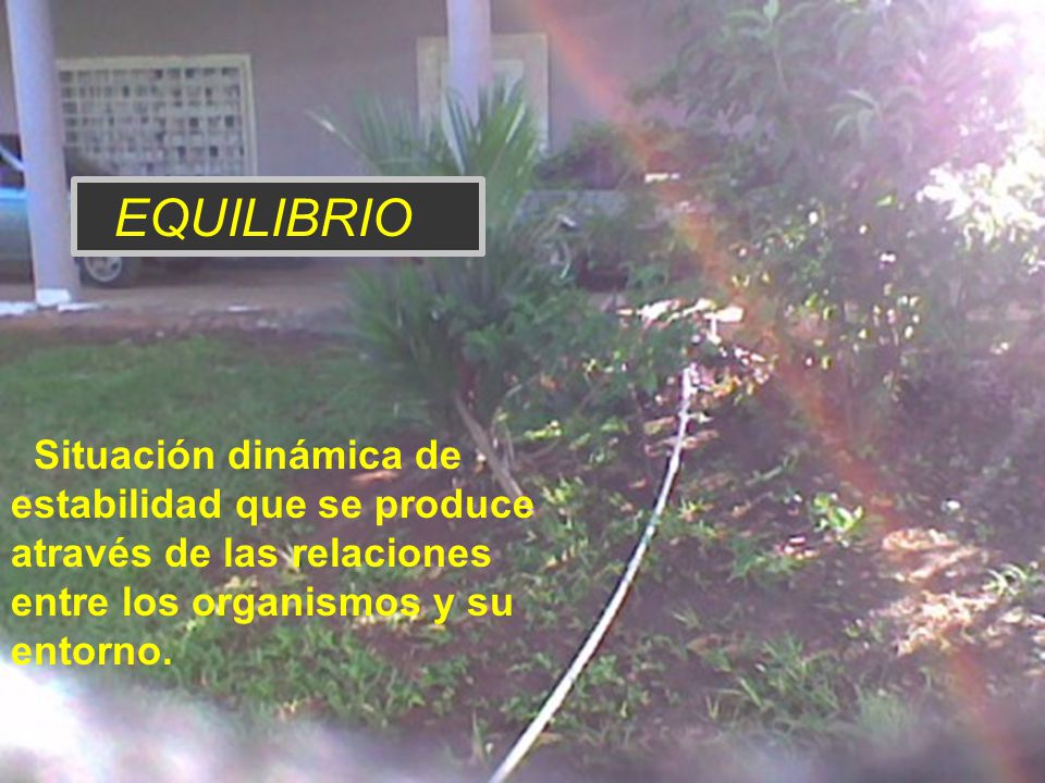EQUILIBRIO Situación dinámica de estabilidad que se produce através de las relaciones entre los organismos y su entorno.