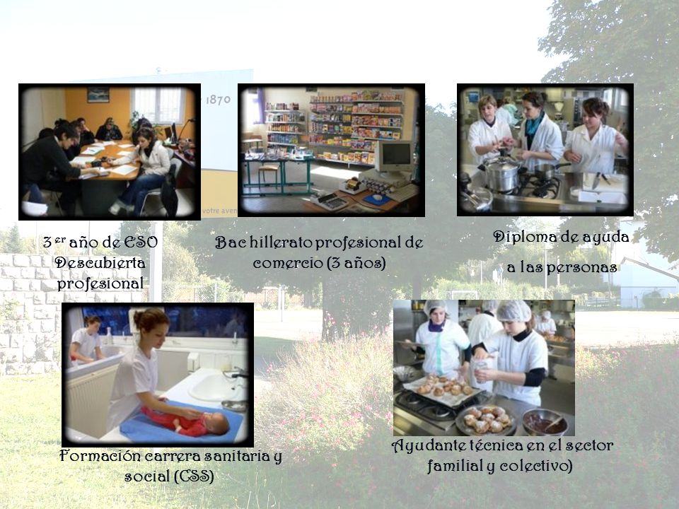 3 er año de ESO Descubierta profesional