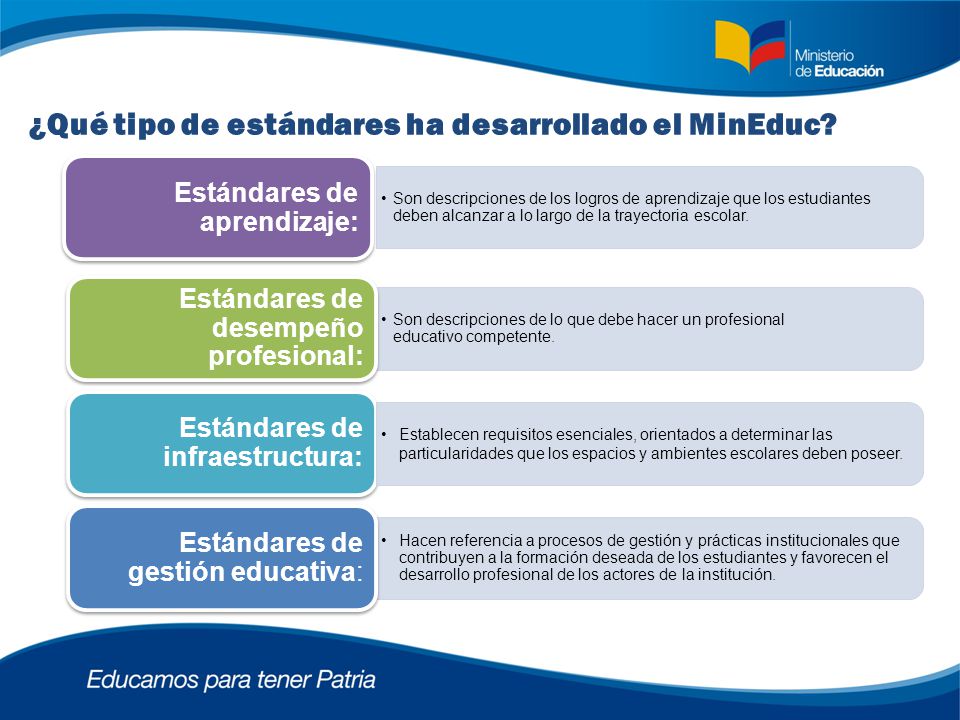 ¿Qué tipo de estándares ha desarrollado el MinEduc