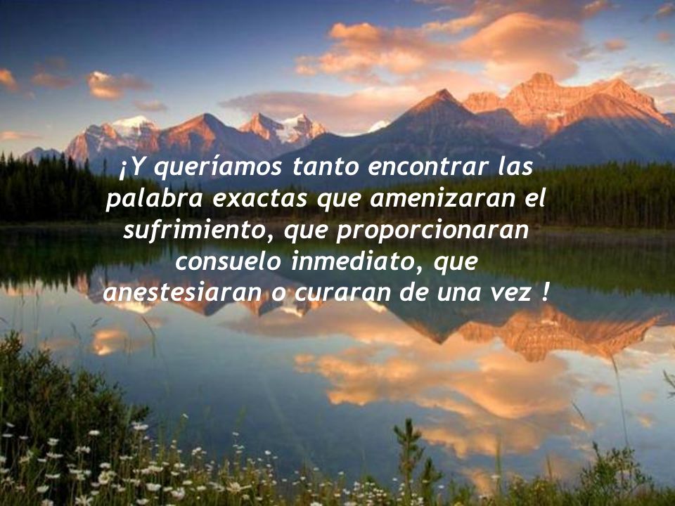 ¡Y queríamos tanto encontrar las palabra exactas que amenizaran el sufrimiento, que proporcionaran consuelo inmediato, que anestesiaran o curaran de una vez !