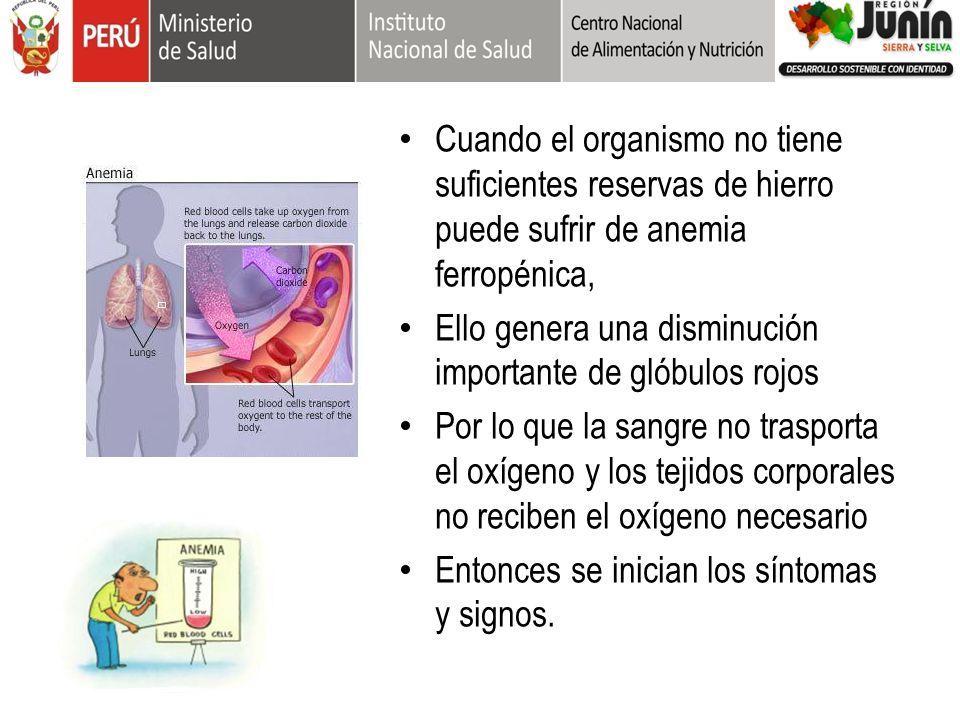 Cuando el organismo no tiene suficientes reservas de hierro puede sufrir de anemia ferropénica,