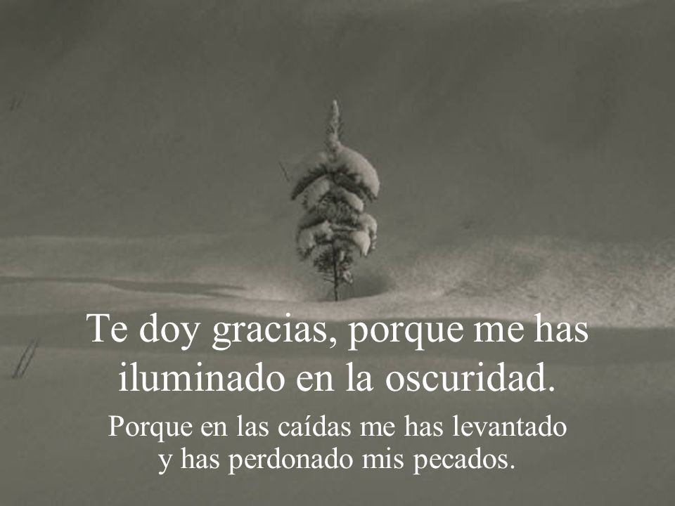 Te doy gracias, porque me has iluminado en la oscuridad.