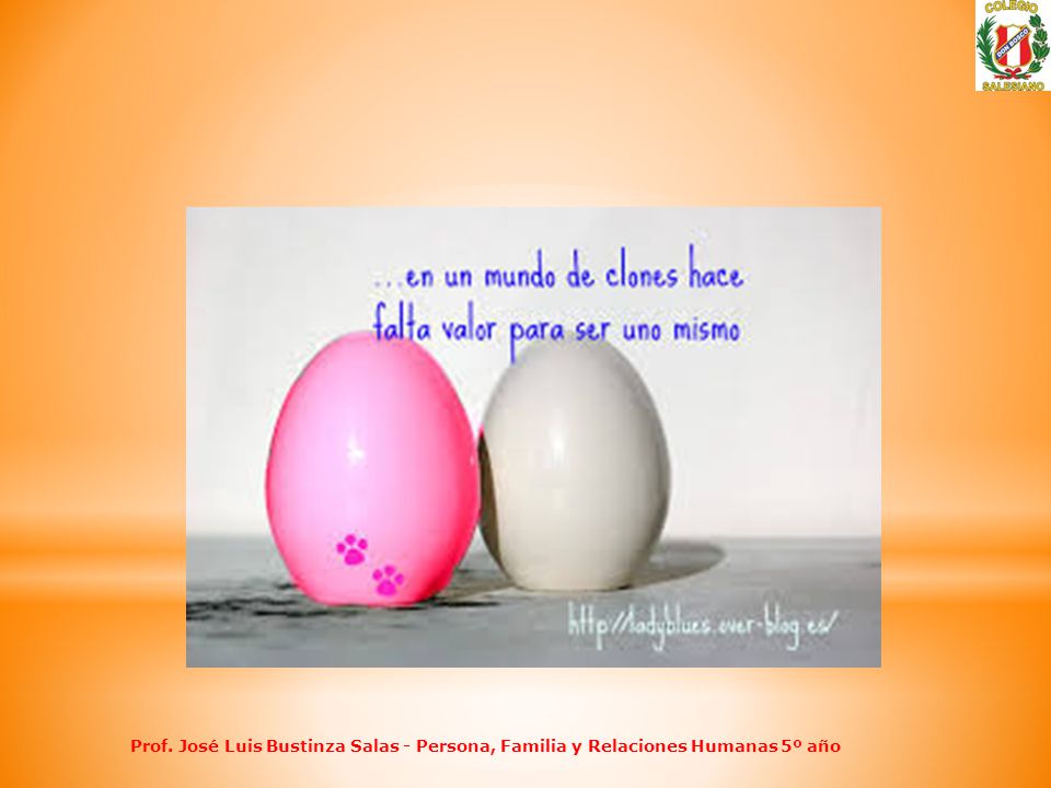 Prof. José Luis Bustinza Salas - Persona, Familia y Relaciones Humanas 5º año