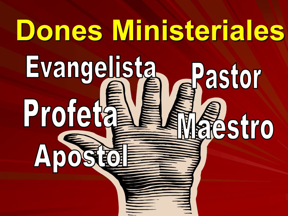 Dones Ministeriales Evangelista Pastor Profeta Maestro Apostol