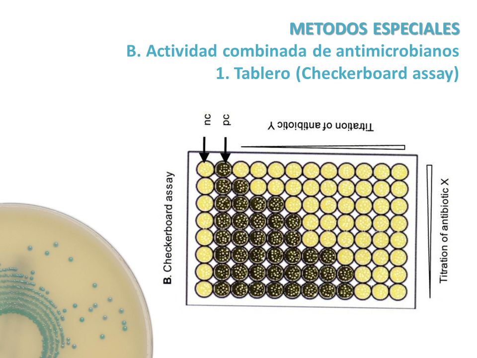 METODOS ESPECIALES B. Actividad combinada de antimicrobianos 1. Tablero (Checkerboard assay)