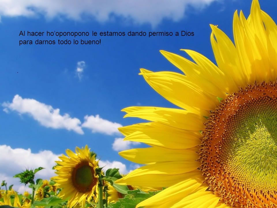Al hacer ho’oponopono le estamos dando permiso a Dios para darnos todo lo bueno!