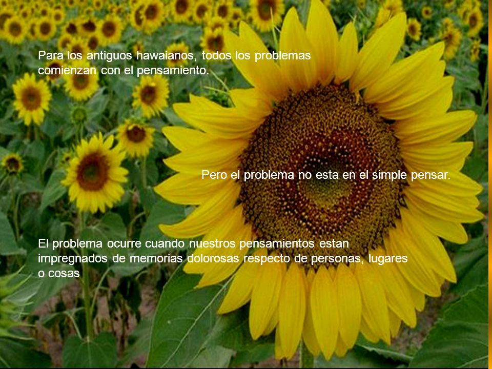 Para los antiguos hawaianos, todos los problemas comienzan con el pensamiento.