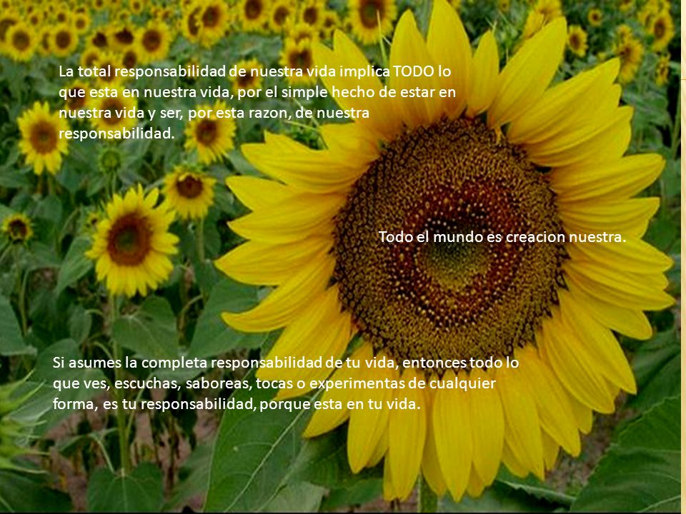 La total responsabilidad de nuestra vida implica TODO lo que esta en nuestra vida, por el simple hecho de estar en nuestra vida y ser, por esta razon, de nuestra responsabilidad.