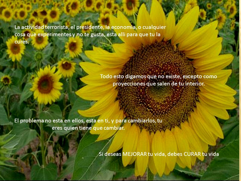 La actividad terrorista, el presidente, la economia, o cualquier cosa que experimentes y no te gusta, esta alli para que tu la cures.