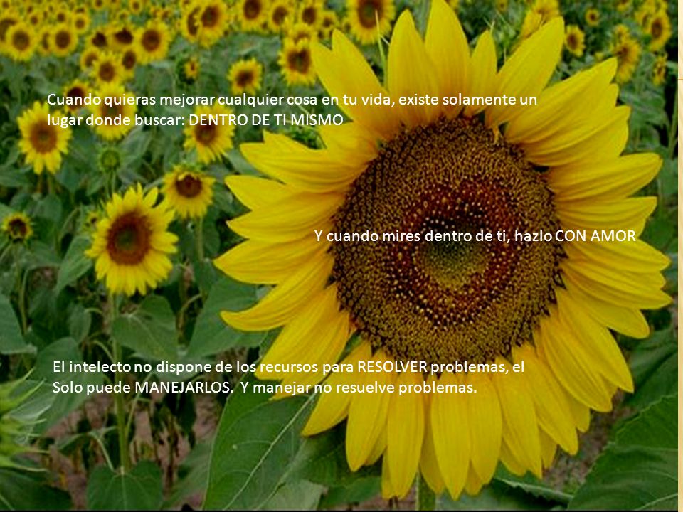 Cuando quieras mejorar cualquier cosa en tu vida, existe solamente un lugar donde buscar: DENTRO DE TI MISMO