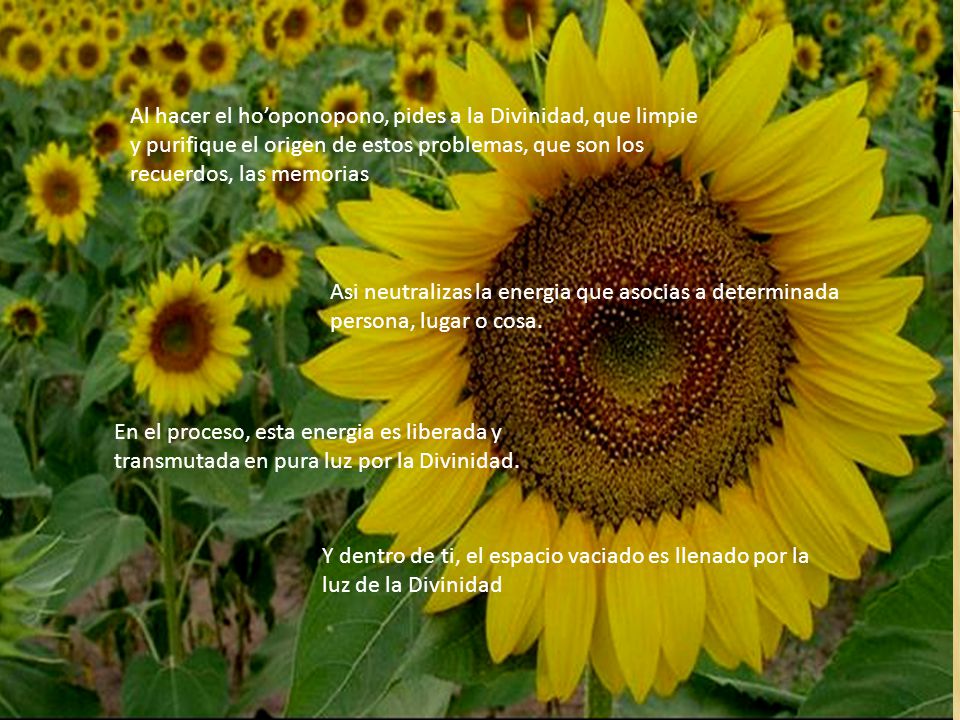 Al hacer el ho’oponopono, pides a la Divinidad, que limpie y purifique el origen de estos problemas, que son los recuerdos, las memorias