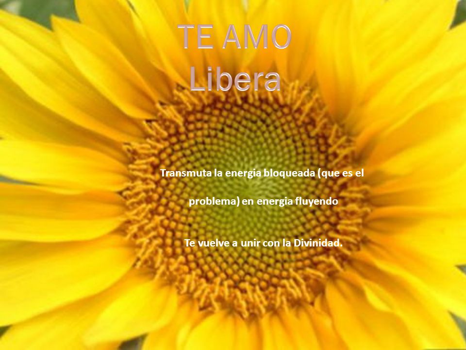 TE AMO Libera Transmuta la energia bloqueada (que es el