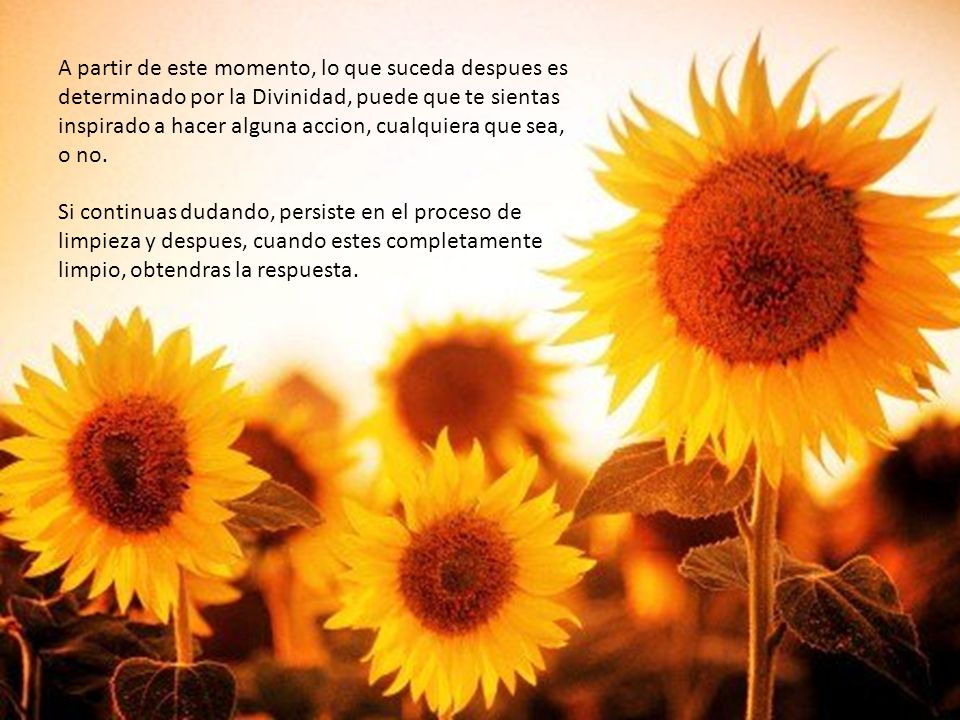 A partir de este momento, lo que suceda despues es determinado por la Divinidad, puede que te sientas inspirado a hacer alguna accion, cualquiera que sea, o no.