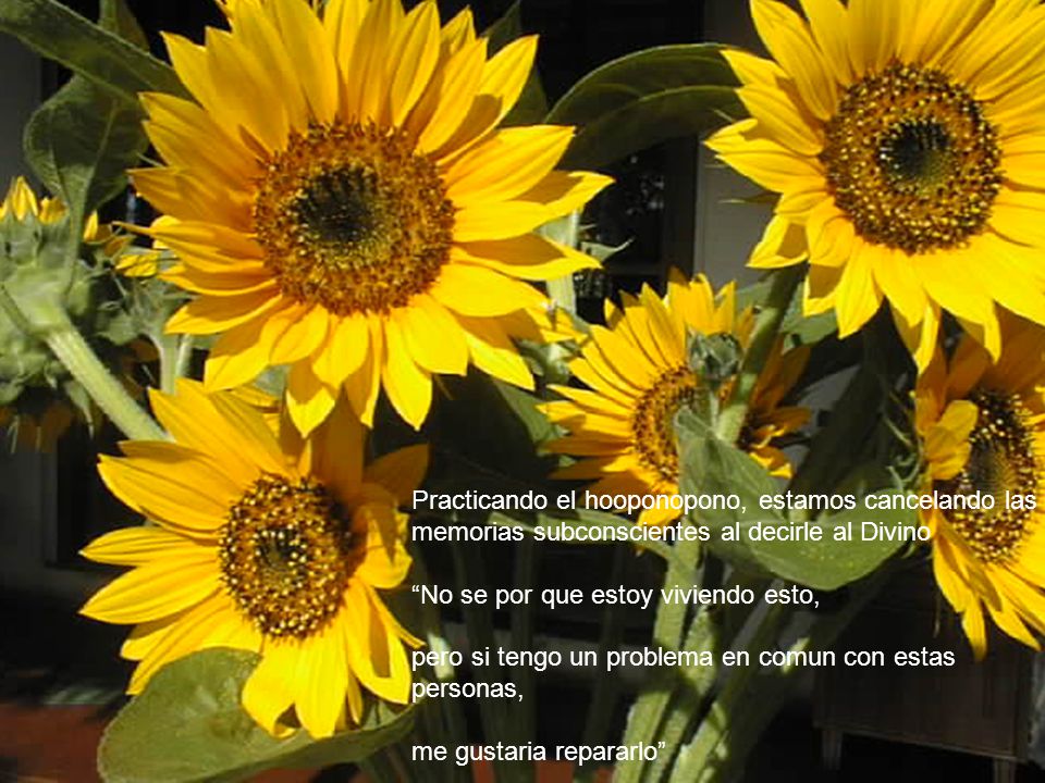 Practicando el hooponopono, estamos cancelando las memorias subconscientes al decirle al Divino