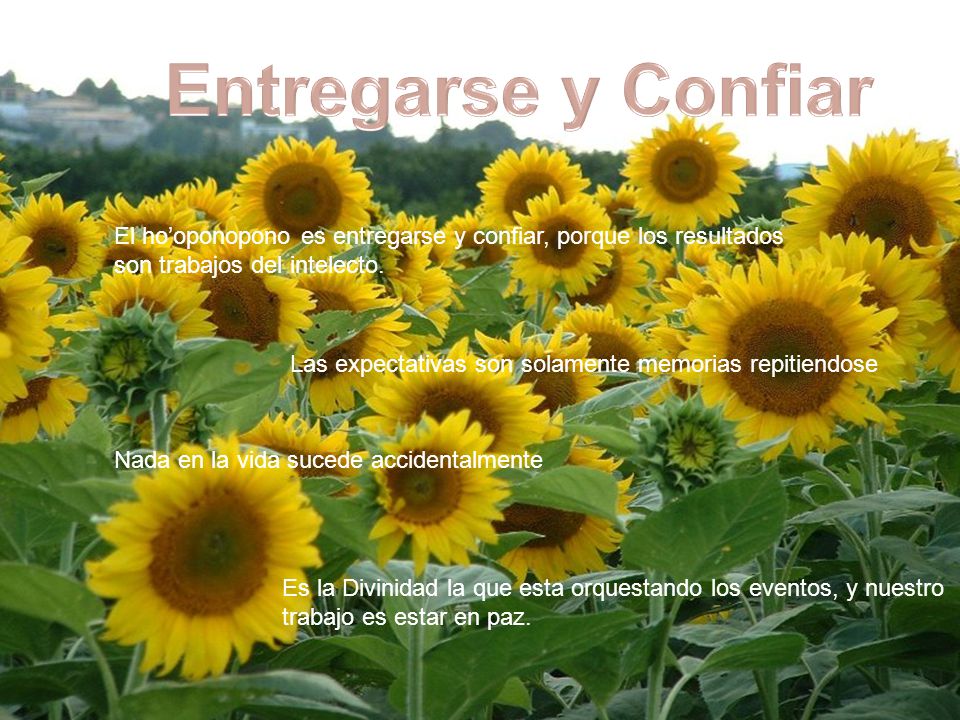 Entregarse y Confiar El ho’oponopono es entregarse y confiar, porque los resultados son trabajos del intelecto.