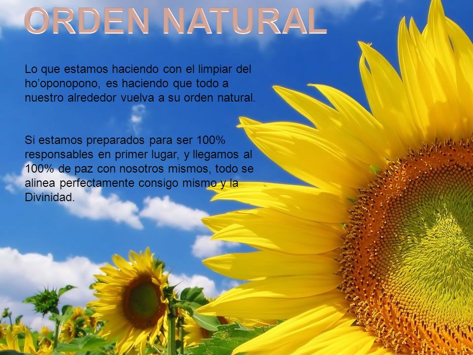 ORDEN NATURAL Lo que estamos haciendo con el limpiar del ho’oponopono, es haciendo que todo a nuestro alrededor vuelva a su orden natural.