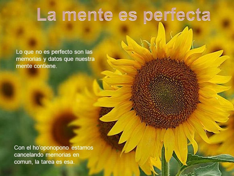 La mente es perfecta Lo que no es perfecto son las memorias y datos que nuestra mente contiene.