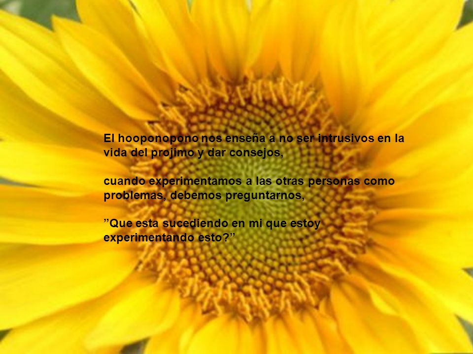 El hooponopono nos enseña a no ser intrusivos en la vida del projimo y dar consejos,