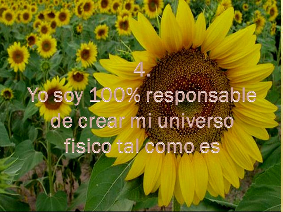 4. Yo soy 100% responsable de crear mi universo fisico tal como es