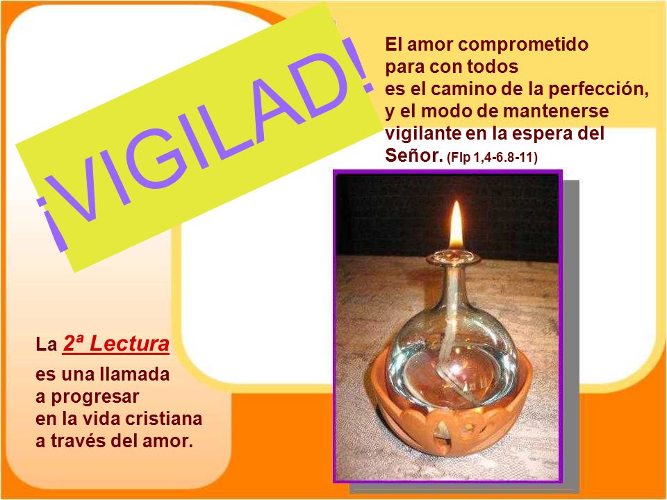 El amor comprometido para con todos es el camino de la perfección,