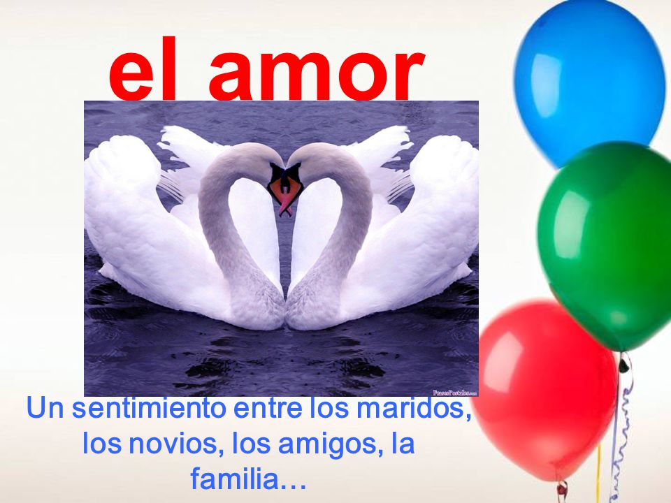 Un sentimiento entre los maridos, los novios, los amigos, la familia…