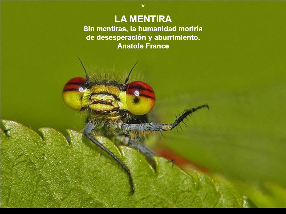 * LA MENTIRA Sin mentiras, la humanidad moriría de desesperación y aburrimiento. Anatole France