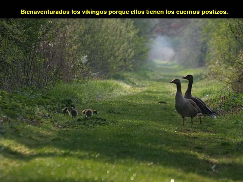 Bienaventurados los vikingos porque ellos tienen los cuernos postizos.