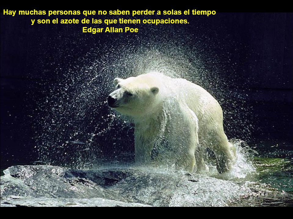 Hay muchas personas que no saben perder a solas el tiempo