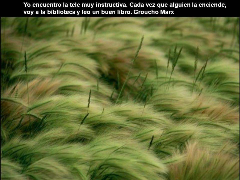 Yo encuentro la tele muy instructiva. Cada vez que alguien la enciende,