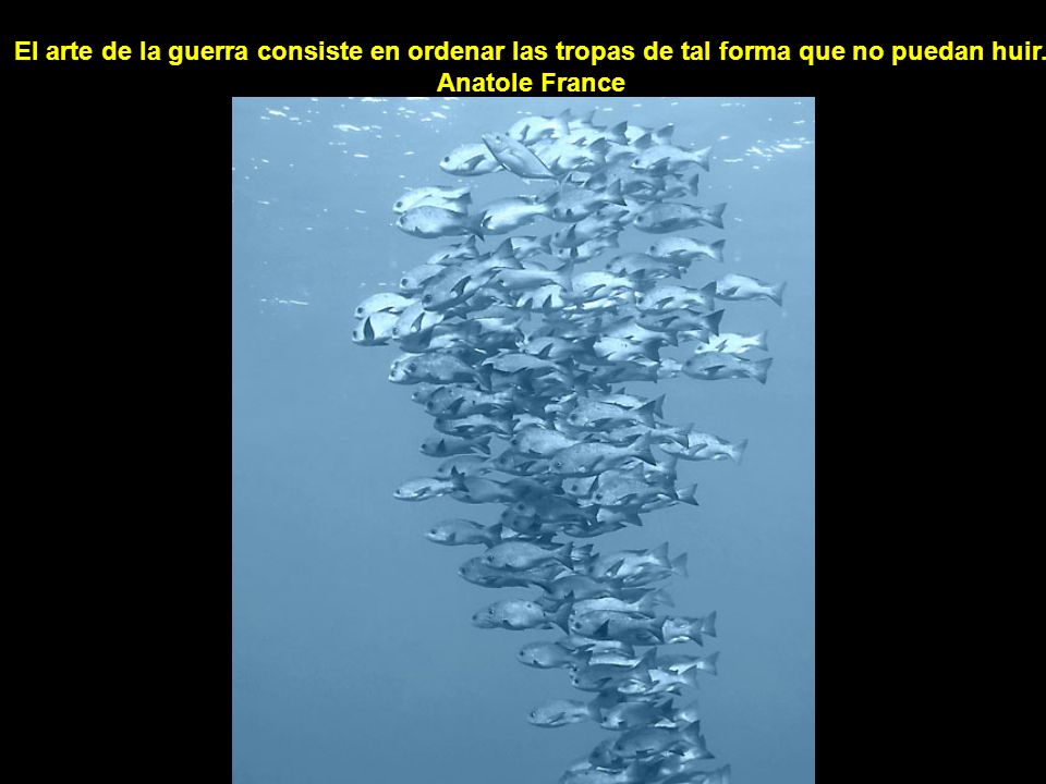 El arte de la guerra consiste en ordenar las tropas de tal forma que no puedan huir.
