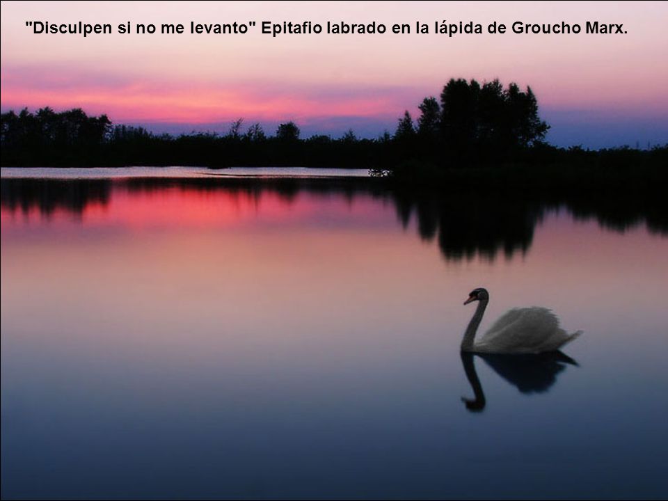 Disculpen si no me levanto Epitafio labrado en la lápida de Groucho Marx.