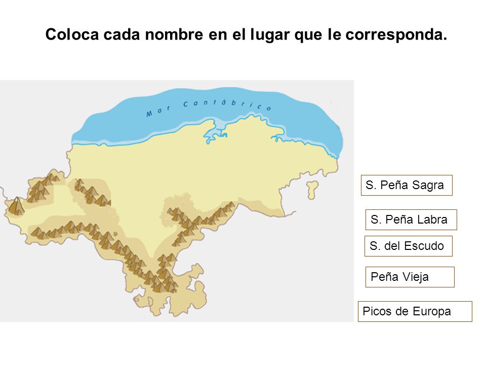 Coloca cada nombre en el lugar que le corresponda.