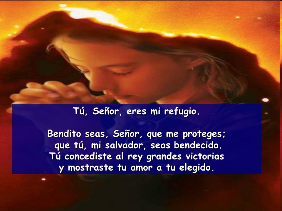 Tú, Señor, eres mi refugio. Bendito seas, Señor, que me proteges;