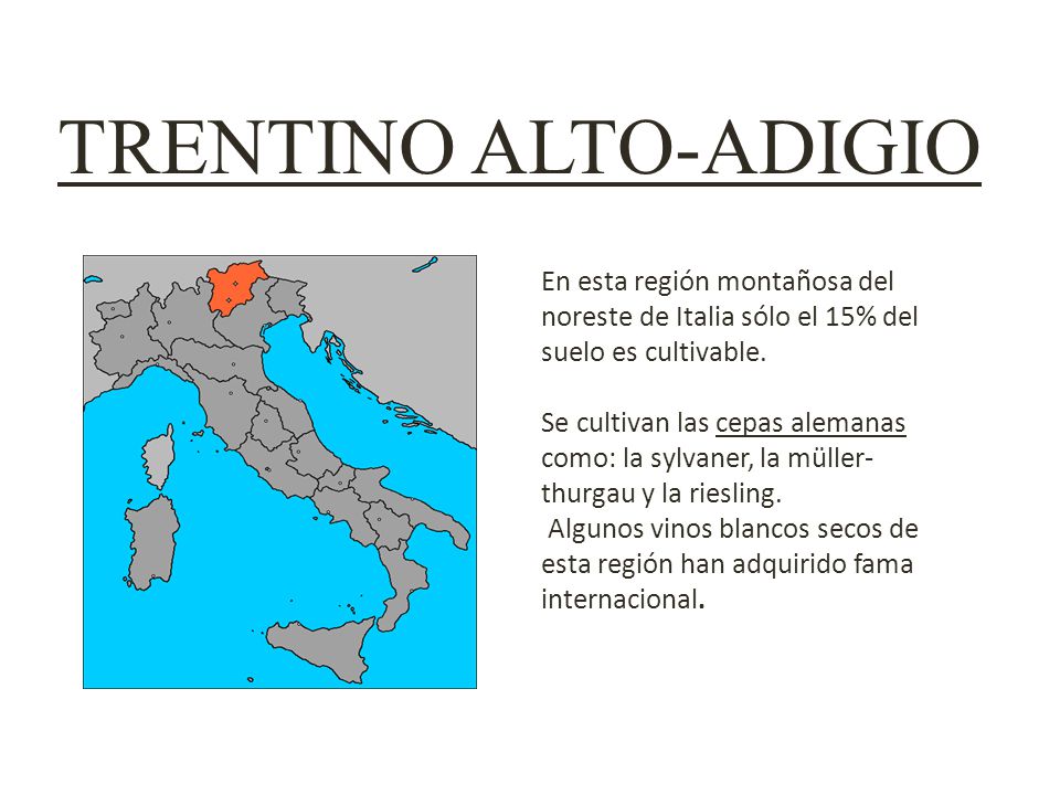 TRENTINO ALTO-ADIGIO En esta región montañosa del noreste de Italia sólo el 15% del suelo es cultivable.