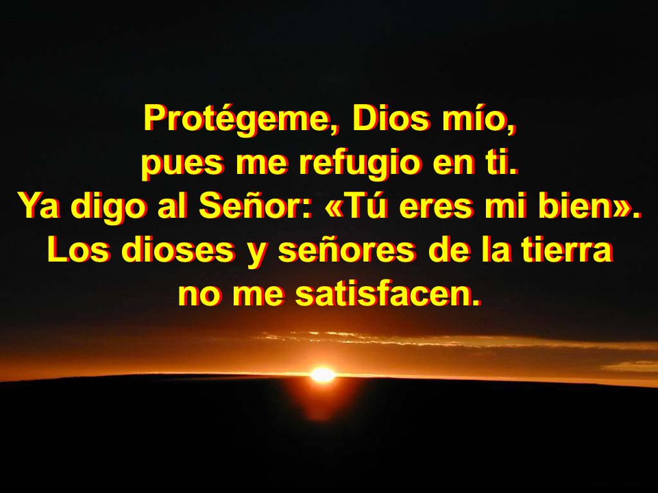 Ya digo al Señor: «Tú eres mi bien». Los dioses y señores de la tierra