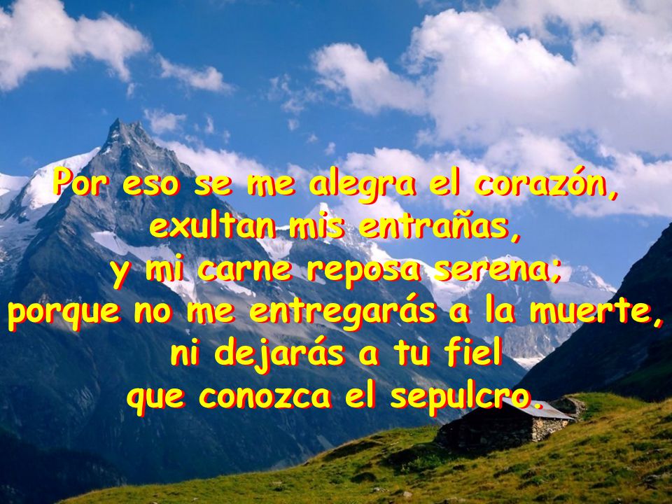 Por eso se me alegra el corazón, exultan mis entrañas,