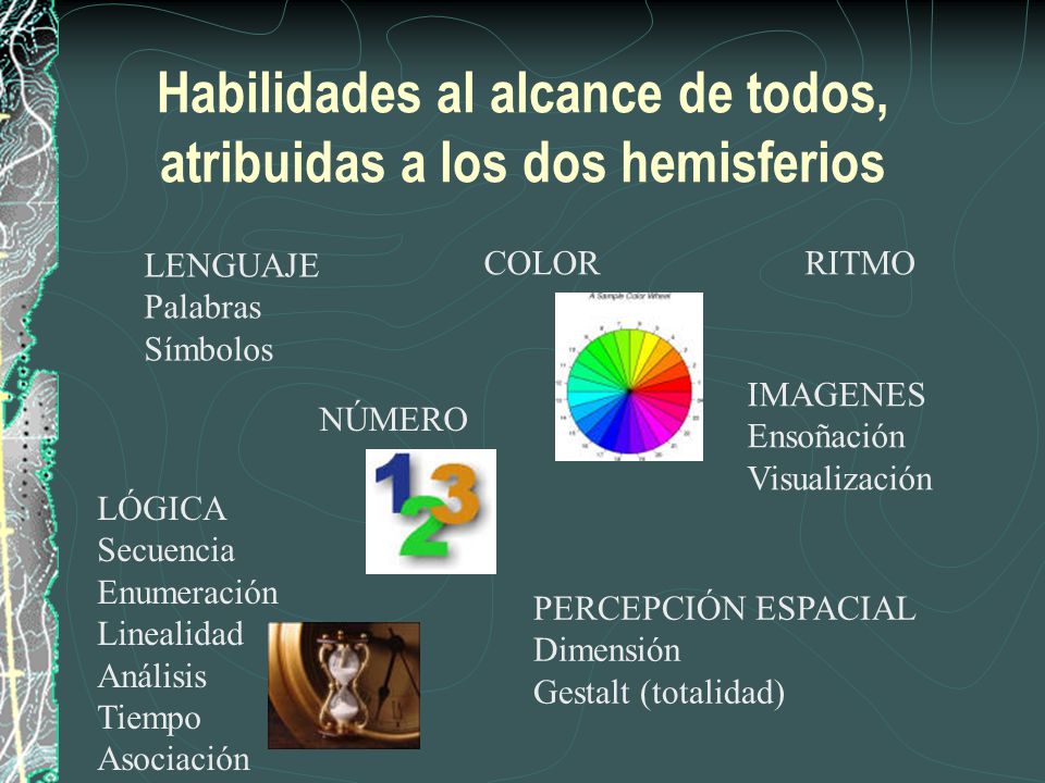 Habilidades al alcance de todos, atribuidas a los dos hemisferios